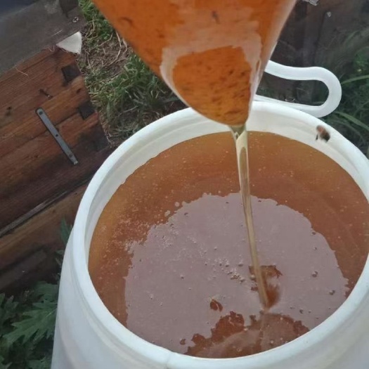  新疆尼勒克黑蜂蜂蜜