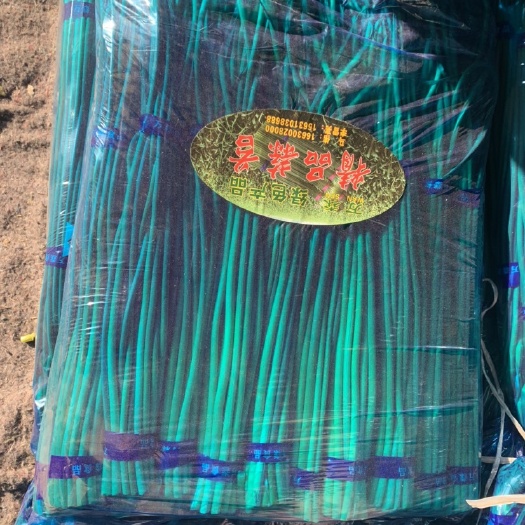 邯郸河北邯郸精品蒜苔，粗细均匀，好看漂亮，价格实惠，物流方便，