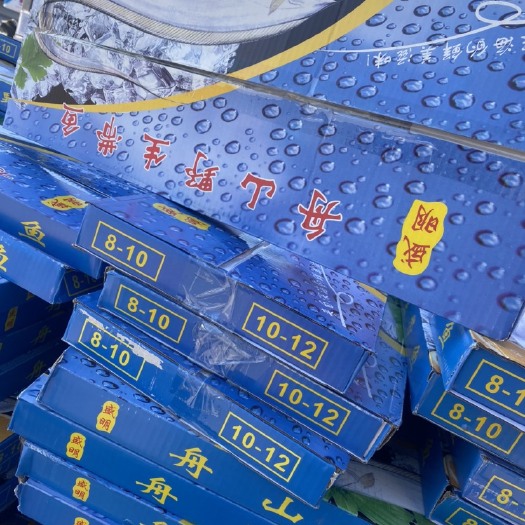 滨州蓝色盒子带鱼7斤