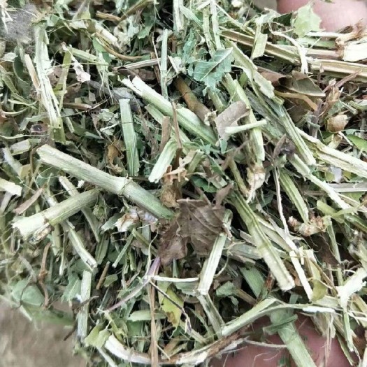 临泉县优质揉丝花生秧