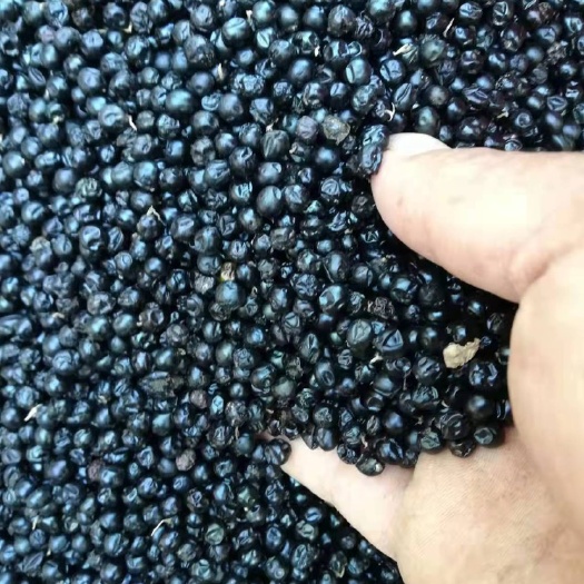 亳州射干 （射干种子），优质精选，品质优良