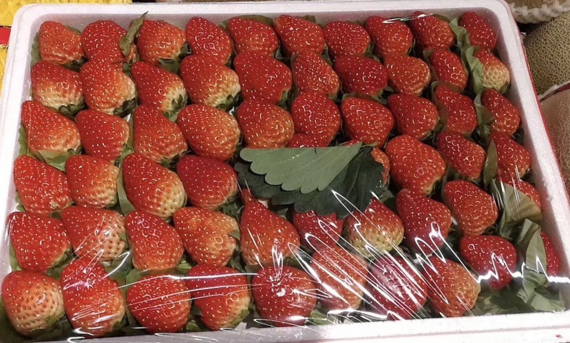 太康县天仙醉草莓