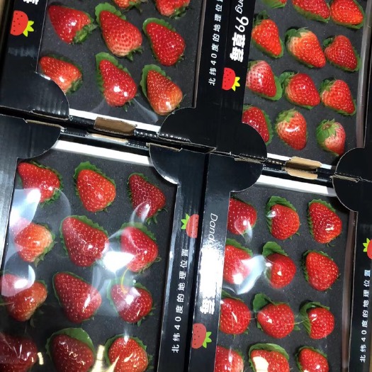 东港市红颜草莓 自家丹东九九草莓精品果，电商果，市场果，规格你订