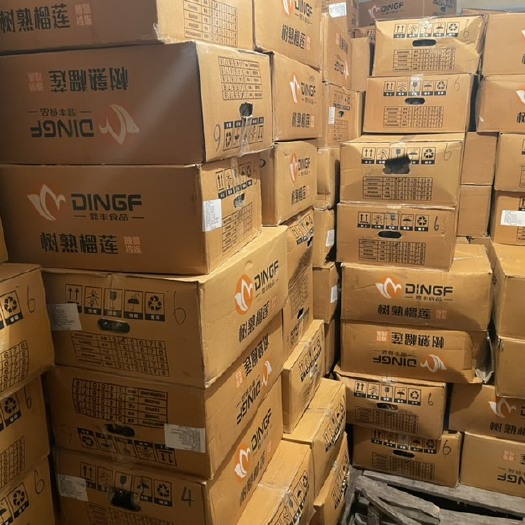 秦皇岛金枕榴莲 罗勇树熟榴莲