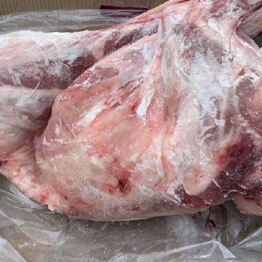 成都羊肉类  烤全羊烧烤专用内蒙羔羊批发