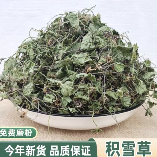 惠水县马蹄叶 积雪草（马蹄草）