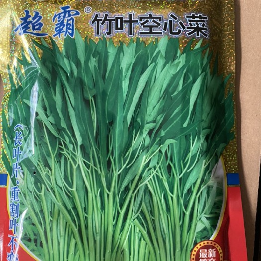 昆明空心菜种子 超霸竹叶空心菜