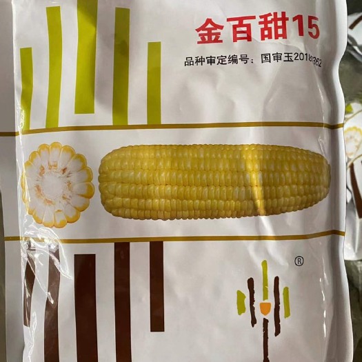 昆明 金佰甜15甜玉米种子