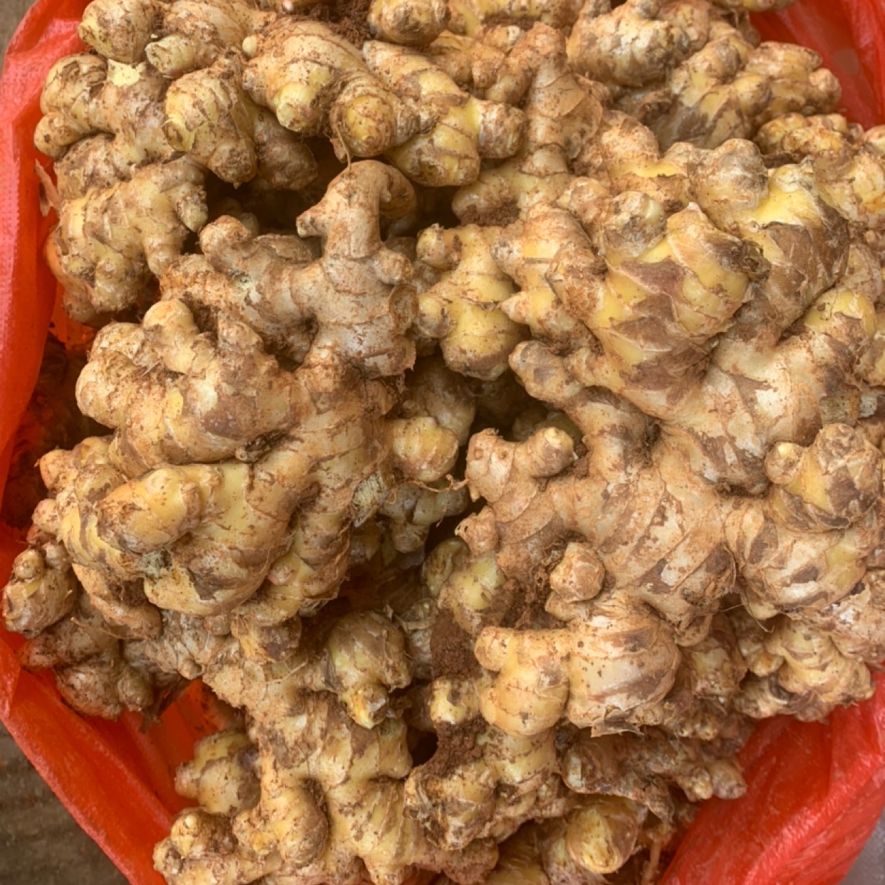 云南小黄姜老姜生姜带泥水洗皆有产地直销农家自种量大价优库存货