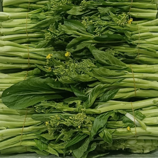 贺州迟菜心