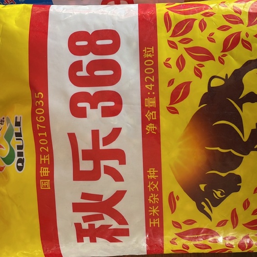临泉县秋乐368玉米种子 好地配好种，一年收成心不忧