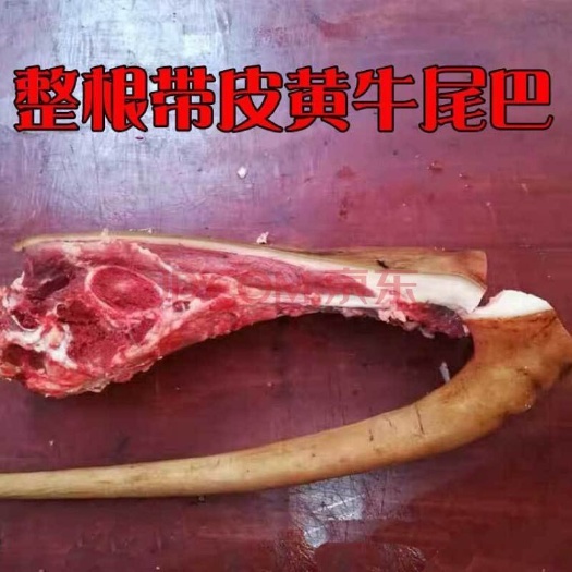 博罗县 牛尾