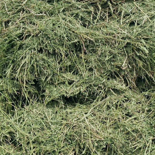 阿旗苜蓿草饲料 苜蓿草  一等苜蓿