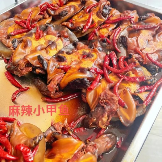 霍邱县卤甲鱼 麻辣甲鱼