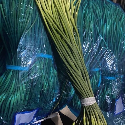白帽蒜薹 白帽蒜苔，长度在70cm，价格在5.2元，自己冷库