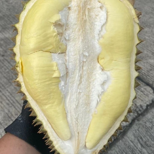 广州金枕榴莲 泰国榴莲，金枕，空运