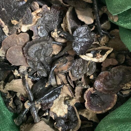 清远灵芝  清香扑鼻   不苦 。，包邮到家