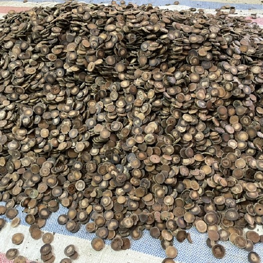 化州市化橘红压果片