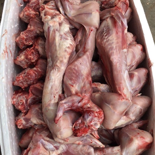 盐城兔肉类 大量供应剥皮冷鲜多规格兔肉