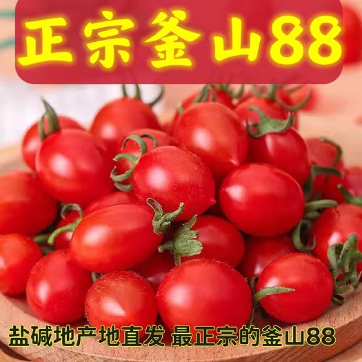 平度市釜山88圣女果 圣女果 釜山88
