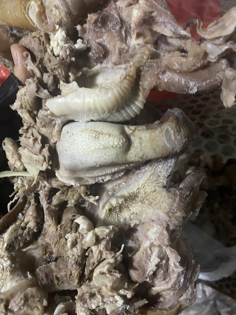 精品成套羊杂 羊杂汤 自己吃优选