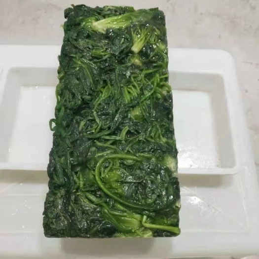 南阳秋季新鲜荠菜 质优价廉 厂家直销 欢迎老板来电咨询