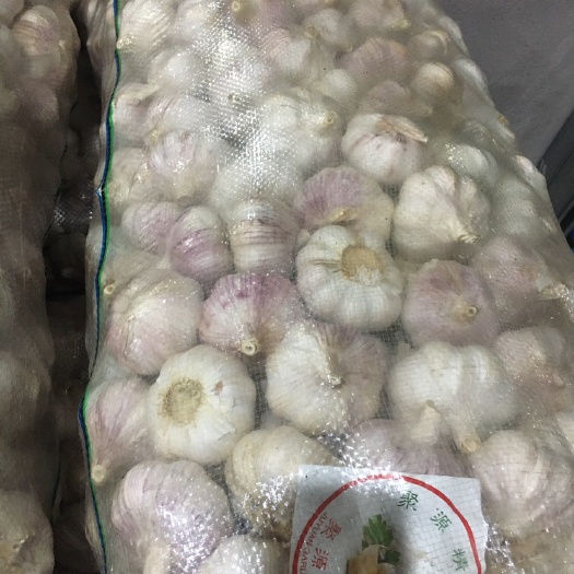 重庆市红皮蒜 精品大蒜重庆周边