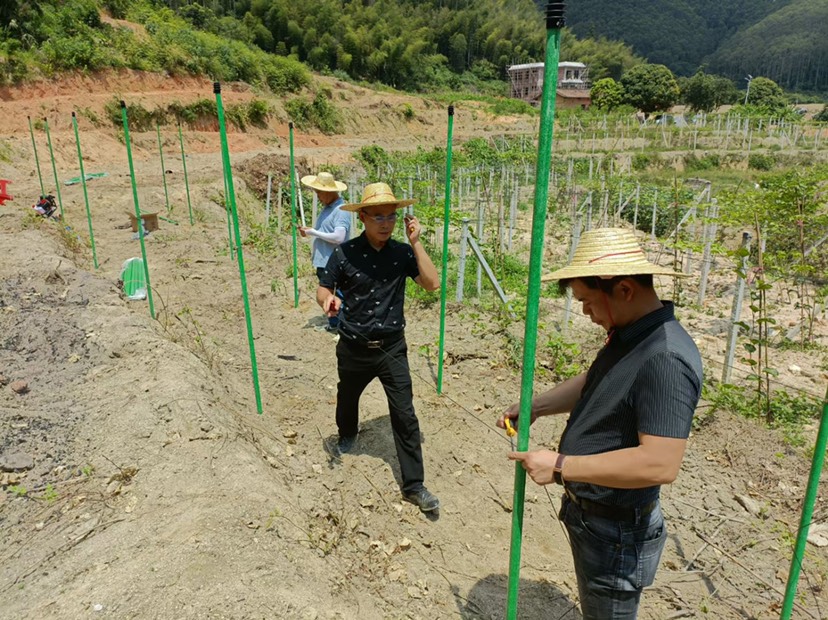 玻璃纤维大小拱棚杆树木支撑杆百香果立柱高强度新型材料防风耐寒