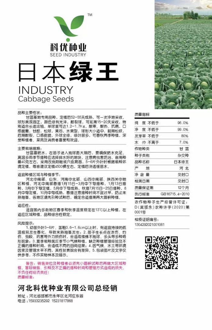 绿甘蓝种子 绿王甘蓝种子 颜色最绿 耐裂球 蔬菜基地专用甘蓝