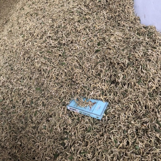 金银花一级花
