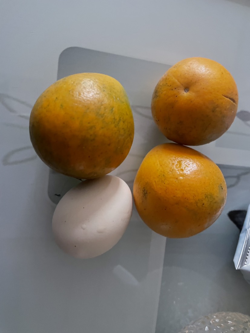 脆蜜金桔 脆蜜金柑 金桔苗产地供应 皮脆肉嫩无酸味汁水多