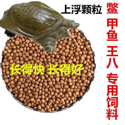 甲鱼粮饲料鳖饲料中华水鳖水鱼饲料鱼粮虾饲料王八粮食宠物龟饲料