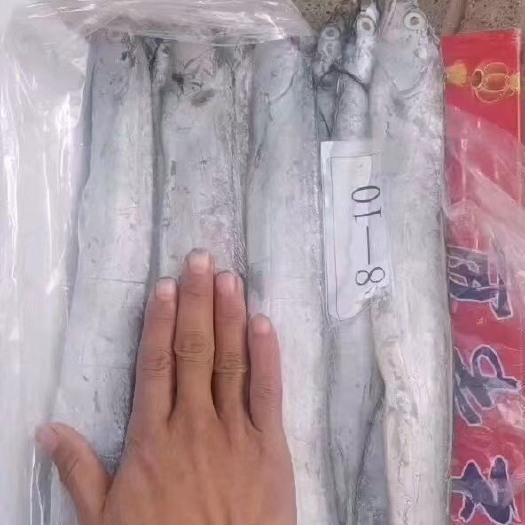 廊坊带鱼 5斤25的