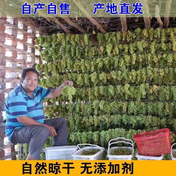 新疆葡萄干无核白葡萄干大颗粒无核葡萄干零食蜜饯干果葡萄干批发