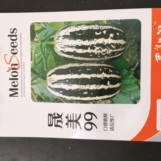 莘县 薄皮甜瓜种子9号种子晟美99加长果实产量高绿肉红瓤