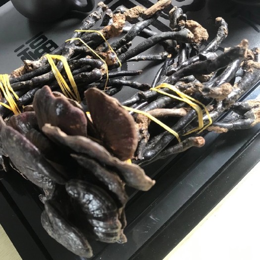 紫灵芝 天然五指山竹灵芝