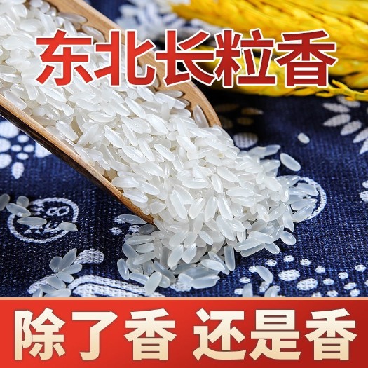 五常市长粒香东北大米10斤起五常长粒香当季新米比价格