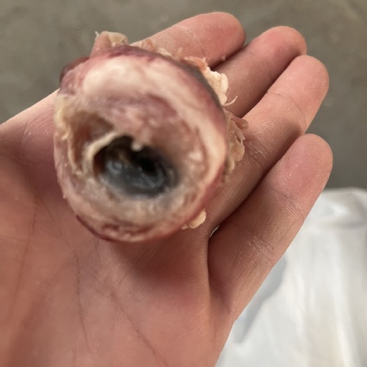 羊头 羊眼，无需再加工