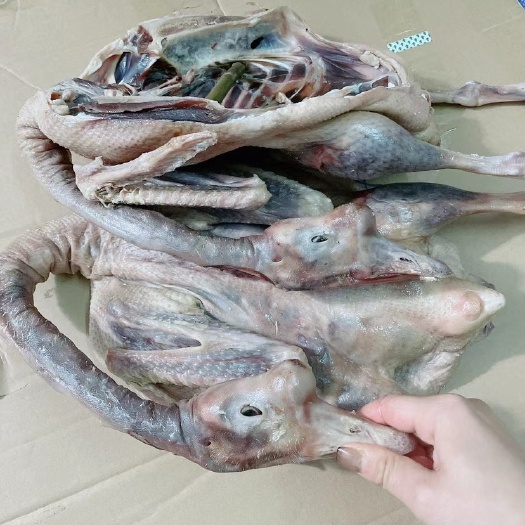 宝应县腌鹅 三年老鹅 特产腌制咸鹅   批发私信