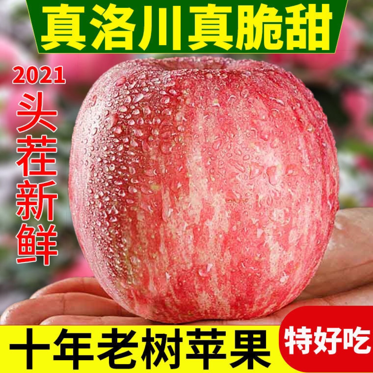 洛川县【洛川苹果】陕西洛川红富士冰糖心苹果新鲜脆甜水果包邮
