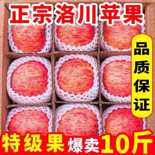 洛川县红富士苹果  陕西【洛川】红富士新鲜苹果应季脆甜水果批发