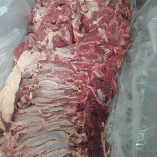 无棣县纯干鲜羊肉   无注水 新鲜现杀现宰