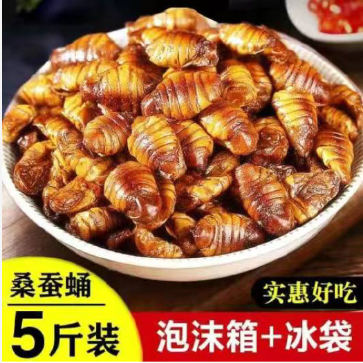 临沂山东蚕蛹新鲜速冻桑茧蛹蝉蛹补营养高蛋白小蛹子批发真空包装