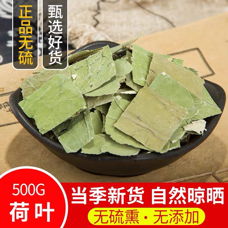 亳州精选中药材新鲜无硫 荷叶 荷叶茶 荷叶干 荷叶片