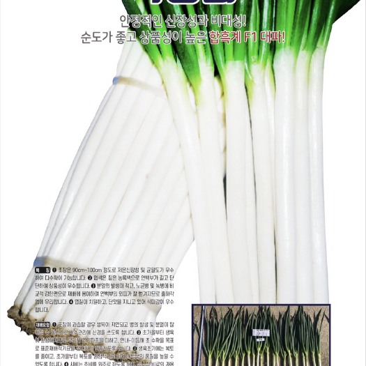 三河市釜山大葱种子  铁杆大葱 长白大葱种子2200粒）