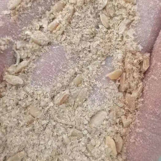 正定县小麦麸皮，大片麸皮，