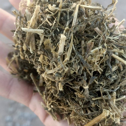 阿旗饲料燕麦草 燕麦青贮草 青贮饲料，燕麦青贮，苜蓿青储