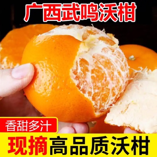 南宁正宗广西武鸣沃柑一件代发新鲜采摘应季水果