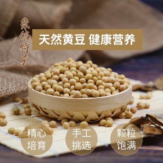 崇信县黄大豆 黄豆