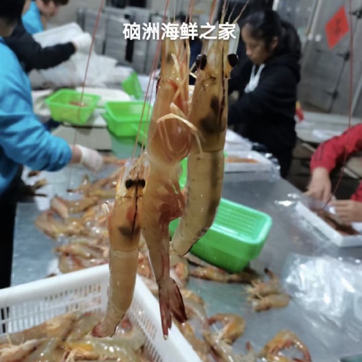  对虾